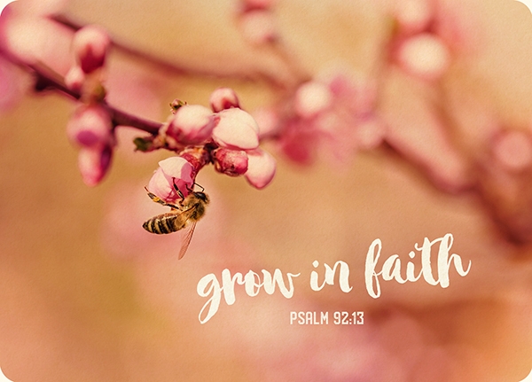 Big Blessing - Grow in faith