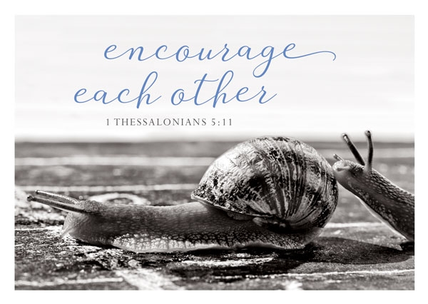 Postkarte Black & White - Encourage