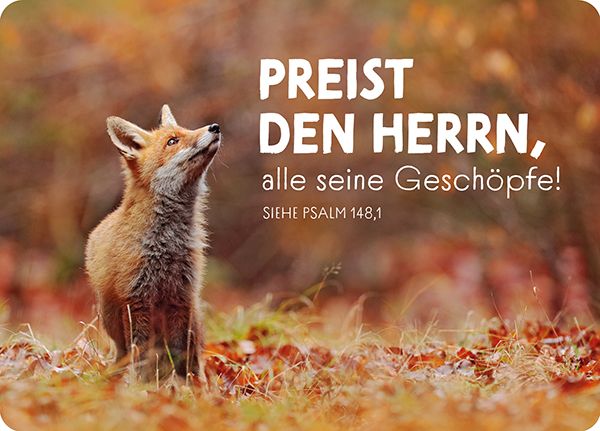 XL-Postkarte Big Blessing –Preist den Herrn