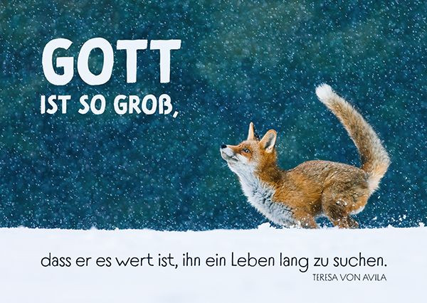 Postkarte – Gott ist so groß (Fuchs)